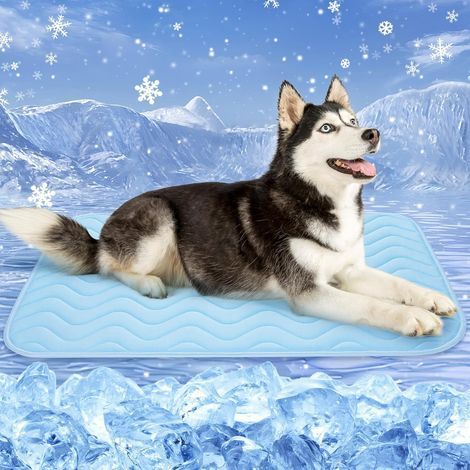 Tapis Rafraichissant Chien Chat. 150x100cm Tapis Rafraichissant pour Chien. Soie Glacée Respirant. Coussin Rafraîchissant Lavable. Durable. Idéal pour Les Animaux de Compagnie en été. Bleu (1/5)