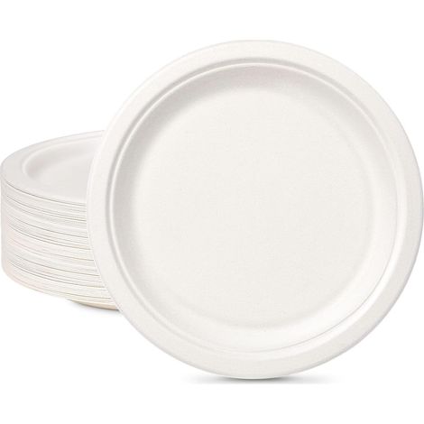 Lot de 100 assiettes jetables en carton de 23 cm blanches rondes pour fête biologique biodégradable