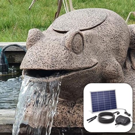 Kit fontaine grenouille filtrante avec pompe solaire directe 2500L - 50W (1/4)