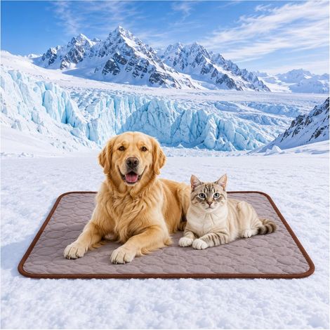 Tapis rafraîchissants pour chats et chiens, tapis rafraîchissants durables et portables pour chats et chiens, couvertures rafraîchissantes pour animaux de compagnie, lavables et résistantes aux morsur (1/5)