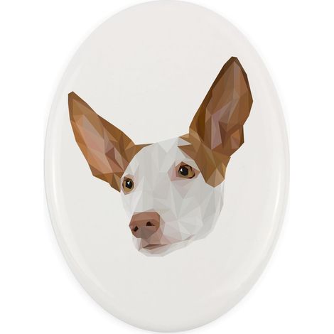 Podenco ibicenco: un plato geométrico con una foto e inscripción de Art-Dog (1/4)