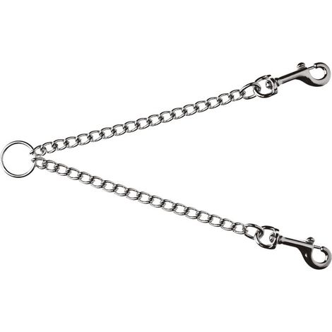1,6 mm x 50 cm: Catena accoppiacani in acciaio Inox per cani