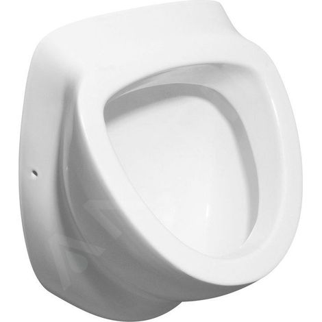 Aqualine Dynasty - Urinoir 390x580 mm, arrivée d'eau arrière, blanc 10SZ92001-DS (1/3)