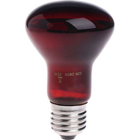 Lampe chauffante et lumineuse infrarouge 220-240 V à incandescence pour terrariums d'amphibiens, avec éclairage 360°, couleur bordeaux. Éclairage et chauffage pour terrariums d'amphibiens. (1/5)