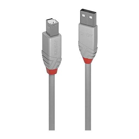 LINDY USB-Kabel USB 2.0 USB-A Stecker, USB-B Stecker 1.00 m Grau 36682 (1/3)