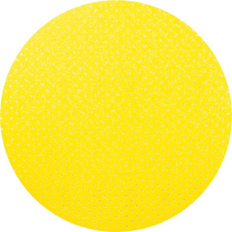 Papier de sable Richmann C2923 225 mm P100 5 unités