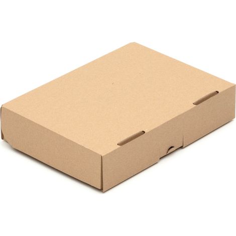 250 Maxibriefkartons 218 x 153 x 45 mm Post Versandkartons Wellpappe Kartons braun (1/4)