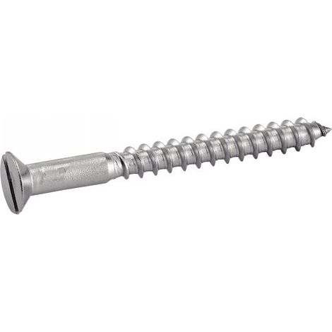 Vite acton 623036X60 acciaio inox 6 mm 60 mm