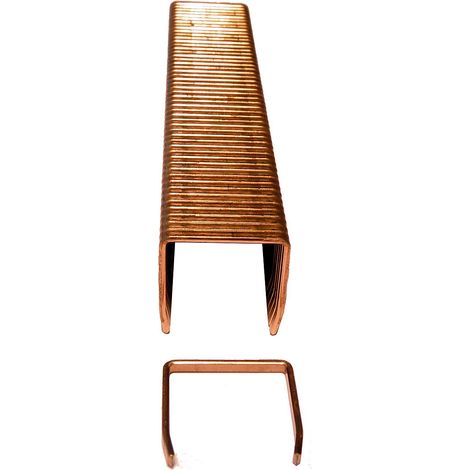 Agrafes - lot de 20000, pour agrafeuse manuelle de cartons - taille 12 mm (1/2)