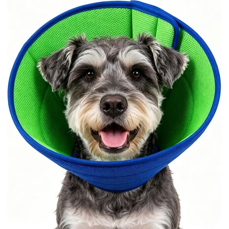 Collerette de protection souple pour chiens   adapté aux chiens de toutes tailles (petits, moyens et grands) pour empêcher le léchage des plaies  (taille M). (1/5)
