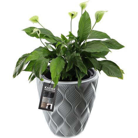 KADAX Blumentopf mit Einsatz und Griffen, Pflanzkübel aus Kunststoff in 5 Größen, UV-Resistenter Top (1/5)