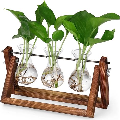 - Jardinière suspendue en forme de paresseux, pots de fleurs pour Z (1/5)