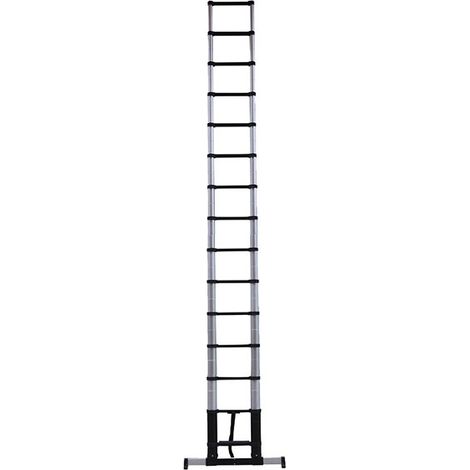 Scala telescopica 15 pioli - Lunghezza 4.40m - Altezza mass. di lavoro 5.20m - 94844
