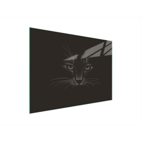 TAGLIERE IN VETRO 30x22 CAT (1/5)