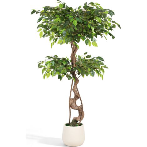 TolleTour Pianta artificiale Ficus 120 cm, tronco marrone, vaso bianco (1/5)