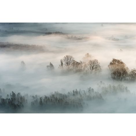 papier peint panoramique montagnes avec des arbres bleu gris, gris clair et marron - Sanders & Sanders (1/5)