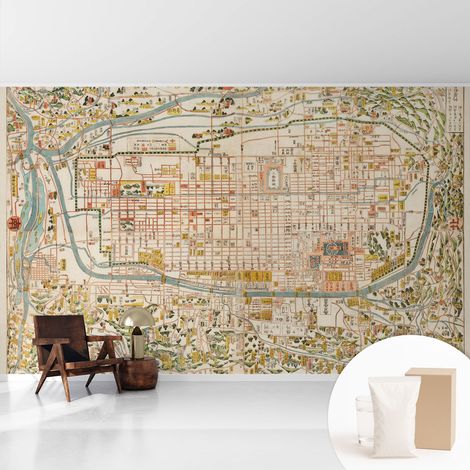 Papier peint décoratif avec colle pour salon, chambre à coucher et bureau – Design moderne et facile à poser Carte ancienne 416x254 cm (1/5)