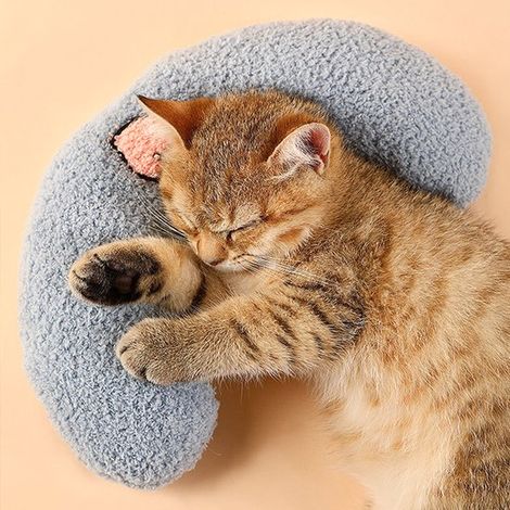 Coussin pour animaux - Coussin en peluche douce - Tapis à motifs mignons - Soutien confortable pour la nuque - Convient aux chats et aux chiens - Bleu (1/4)