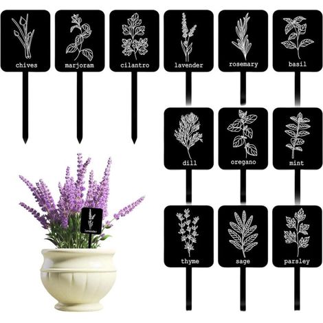 24 Acrylic Plant Labels, 12 Styles, Garden Herb Markers, Plant Supports, Waterproof Black Greenhouse Labels (1/5)