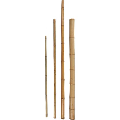 Bambuspflanz/Dekostab Comfort L:150 cm, Ø 75 mm