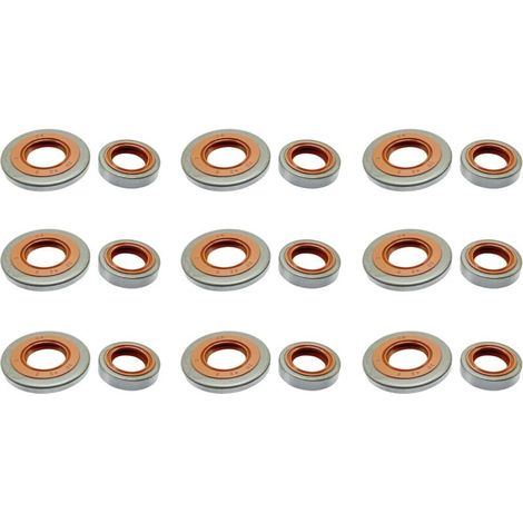 C·T·S Lot de 9 joints d'huile compatibles avec Sti hl TS700 TS800 remplace 9640-003-1745 9640-003-2257 (1/5)