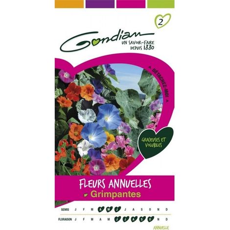 Gondian - Fleurs Annuelles Grimpantes