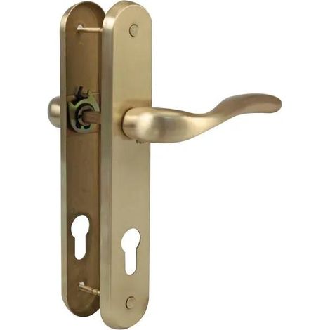 AMIG Poignées sur plaque à cylindre LENA PB 238 x 40 mm Acier / Zamak Laitonné mat