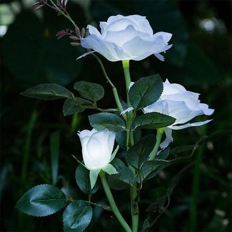 Bardusch - Lampe de jardin à 3 lampes solaires décoratives à lumière solaire à fleurs avec rosier blanc (1/3)