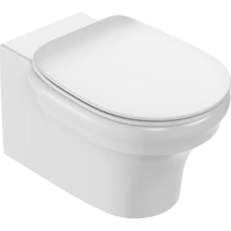 WC suspendu sans bride JACOB DELAFON Cléo 1889 + abattant extra-plat (1/5)