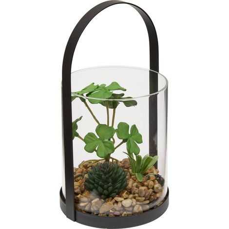 Terrario wilo 11x10cm - Atmosphera créateur d'intérieur