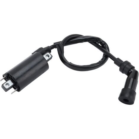 BUNTHAUS 2 Pin Ignition Coil Replacement for 700 700R YFM700 YFM700R 2006-2008 ATV 4 Wheels Quad (1/4)