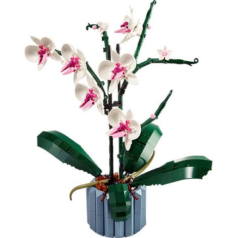 Ensemble de plantes et fleurs artificielles d\'orchidées, cadeau de décoration pour adultes, collection spéciale et anniversaires