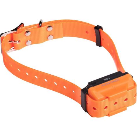Collier de dressage Num'Axes Canicom R rechargeable Orange 20–50 cm étanche