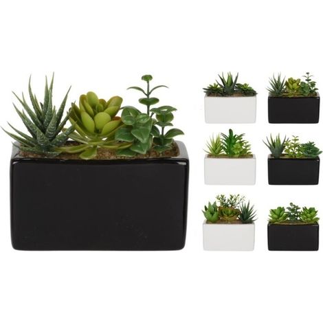 PIANTA GRASSA 15X8XH14CM IN VASO BIANCO / NERO