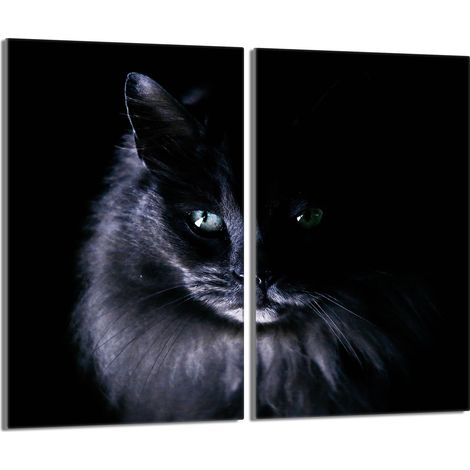 Piastra protettiva in vetro per la stufa 2x30x52 Cat (1/5)