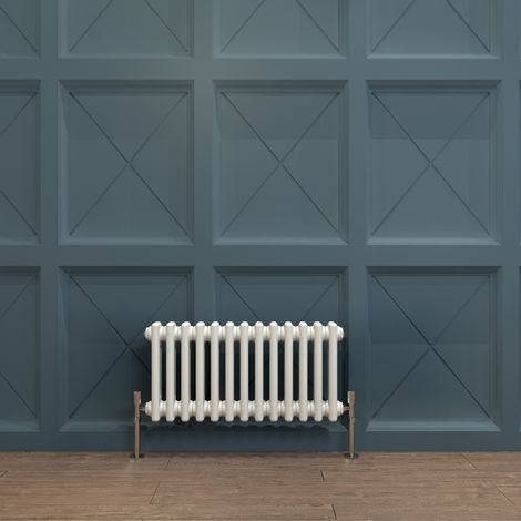 Biubiubath Traditional Cast Iron Radiator 300x605mm 2 Column White (1/5)