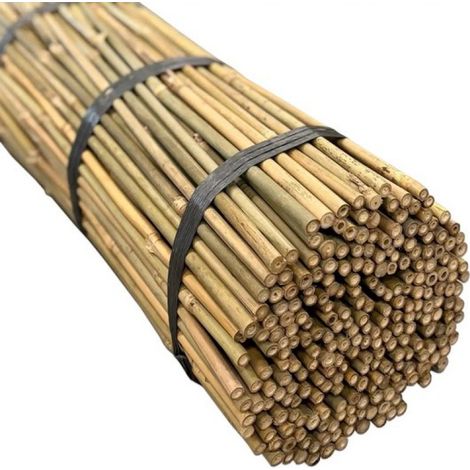 Bâtonnets de bambou Tonkin ® Ø 10-12 mm - 60 cm - 250 pièces (1/2)
