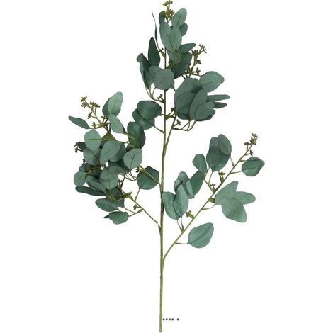 Eucalyptus artificiel en branche H 65 cm Vert (1/3)