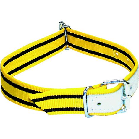 Electra Halsband für Kälber - gelb, 90 cm