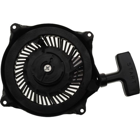 Lanceur complet compatible avec Briggs Stratton remplace 497830 (1/3)