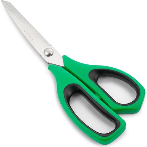 Küchenschere Arcos 185721 aus Edelstahl und mango Polypropylen + 240 mm grünes Elastomer in Blisterpackungen (1/5)