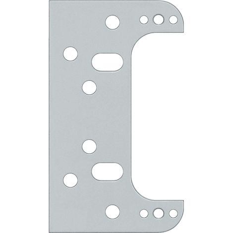 Plaque de montage, ferrure de porte pour charnière de porte, en acier galvanisé