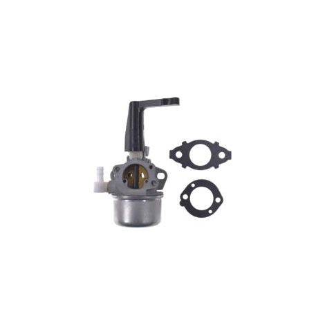 Vergaser für Briggs & Stratton 5-7 PS Motorhackenmotor – Inkl. Montagedichtungssatz – Korrosionsbeständige Aluminiumlegierung – 7 PS (1/5)