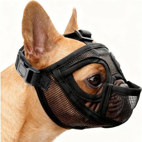 Museliere Bouledogue Francais, Réglable Muselière Chien Respirant Masque Plate Museliere Petit Chiens Court Anti Morsure Mastication Léchage pour Shih Tzu Et Carlin, 5,4–12,2 Kg(S) (1/5)