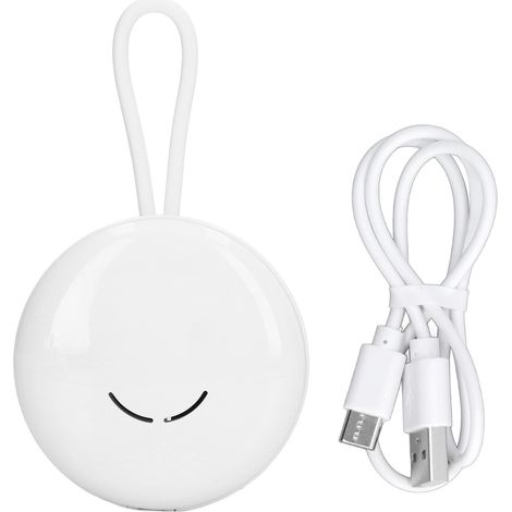 Ventilateur de table portable USB rechargeable, pliable pour voyage, rafraîchissement extérieur (1/5)