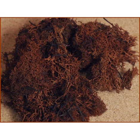 MUSCHIO LICHENE 30GR MARRONE