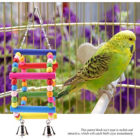 Balançoire en bois à suspendre, jouet pour perroquet et oiseaux (1/5)