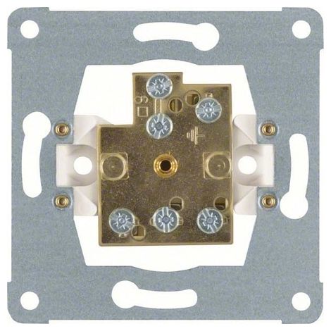 BERKER 1061 DOPPEL-POTENZIALAUSGLEICH-STECKDOSE MODUL-EINSTZE