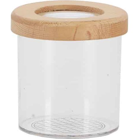 Boîte Observation Insecte Exterieur 7 cm (1/3)