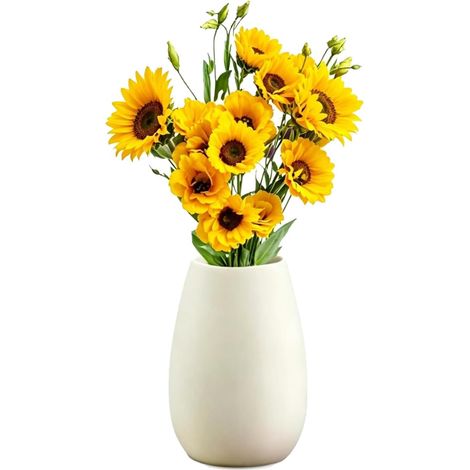Vase en Céramique Blanc, 17 cm, pour Herbe de la Pampa (1/5)